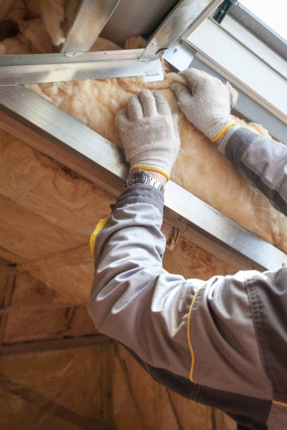 Best Insulation Maintenance and Repair in Moose Wilson Road, WY